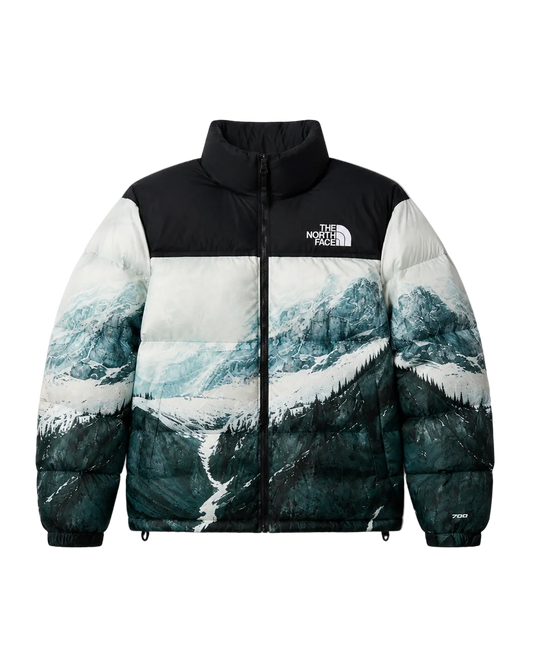 Campera The North Face Mountain 700