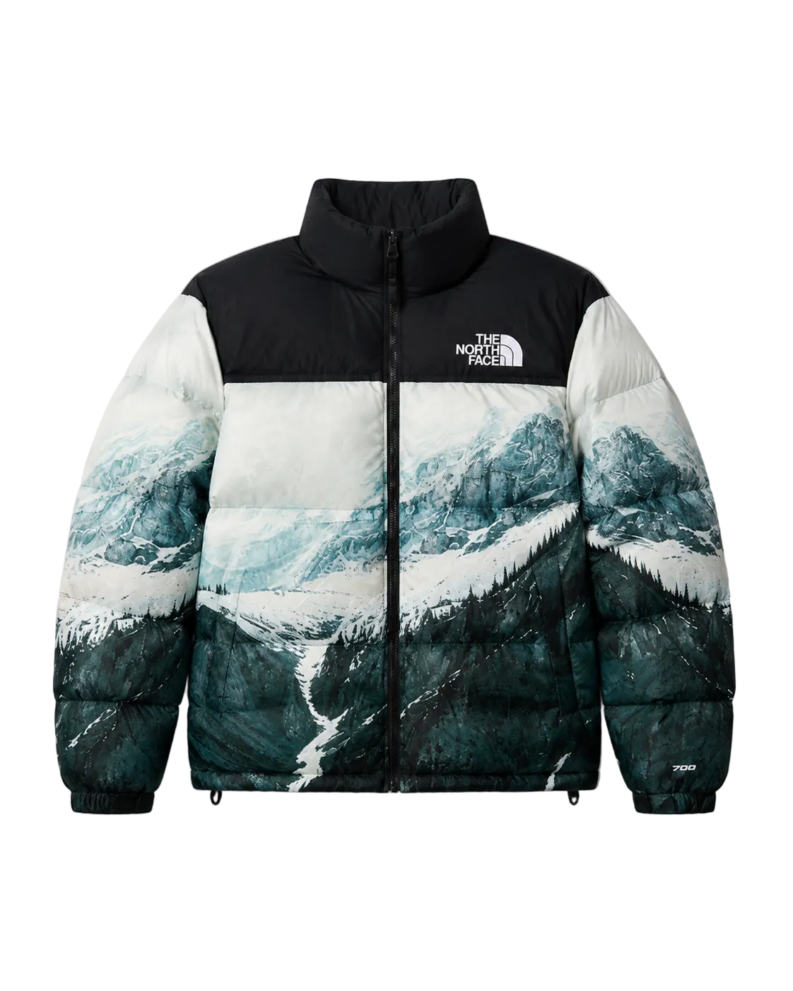Campera The North Face Mountain 700